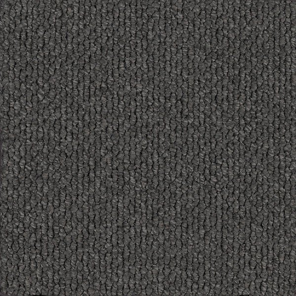 Patagonia swatch