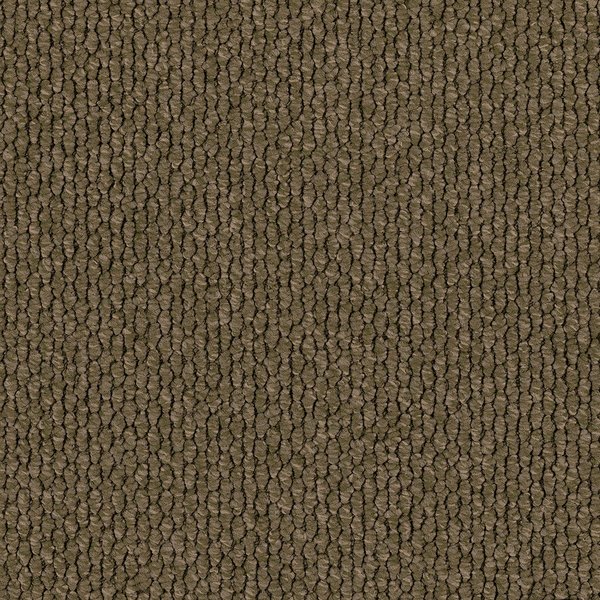 Rubio swatch