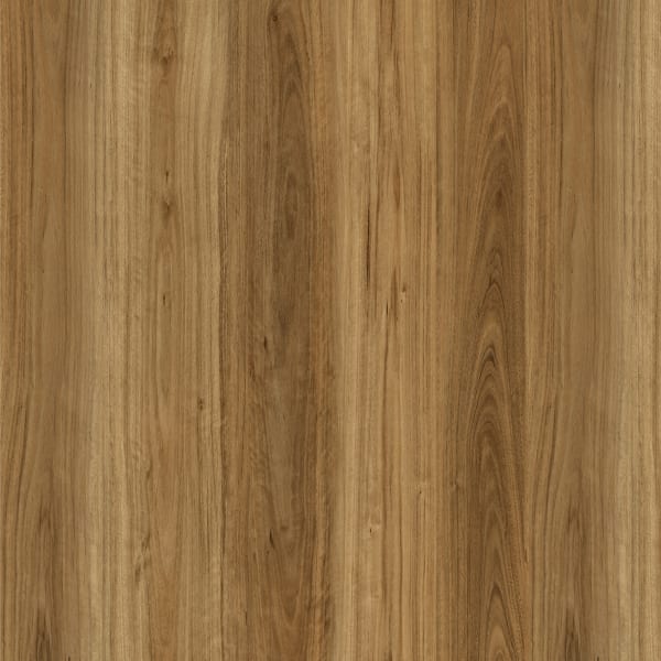 Classic Blackbutt swatch