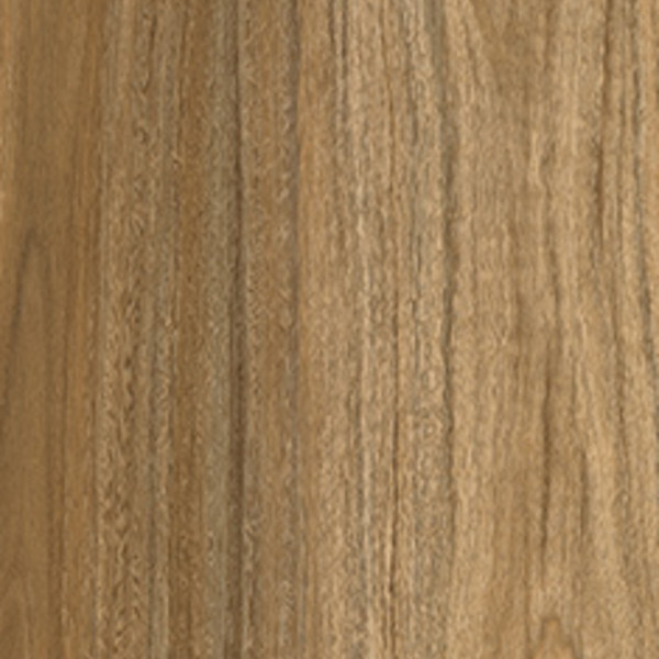 Blonde Spotted Gum swatch