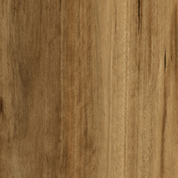 Classic Blackbutt swatch