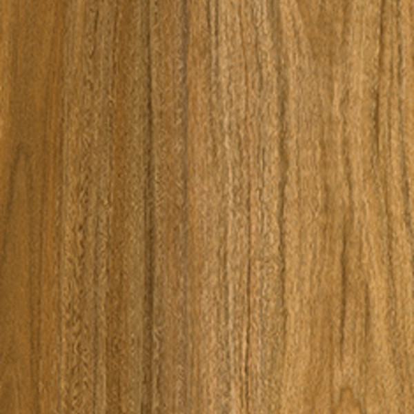 Coastal Spotted Gum swatch
