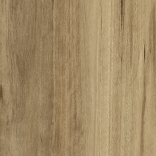 Limed Blackbutt swatch