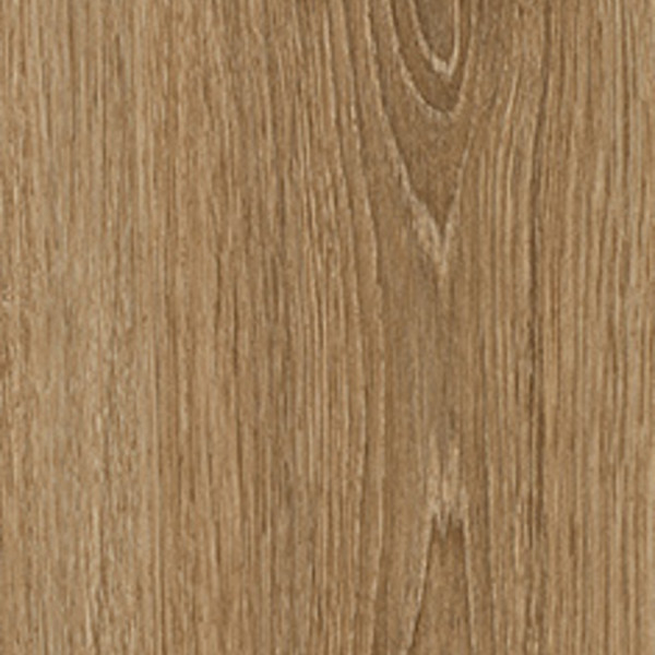 Teak swatch