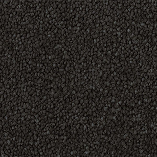 Midnight swatch