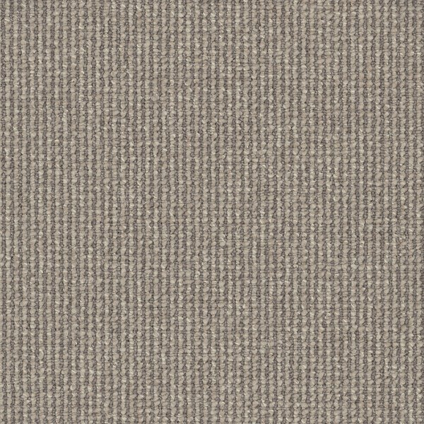 Rayne swatch