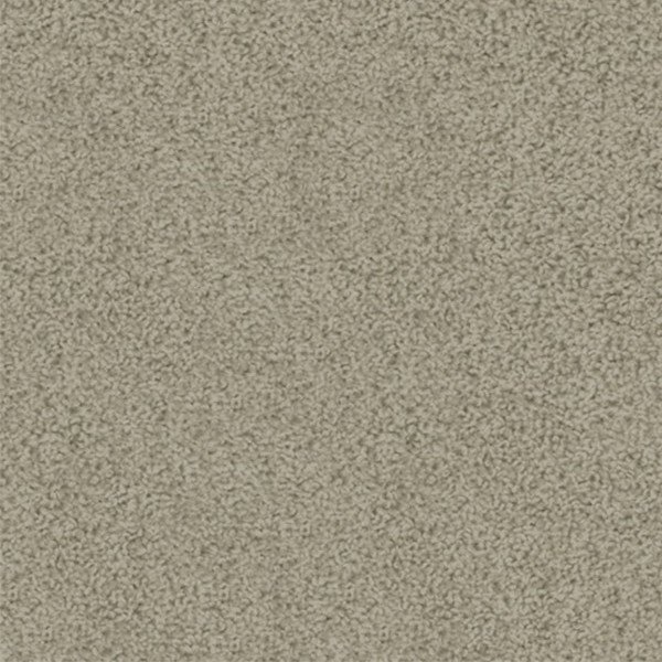 Bailey carpet swatch