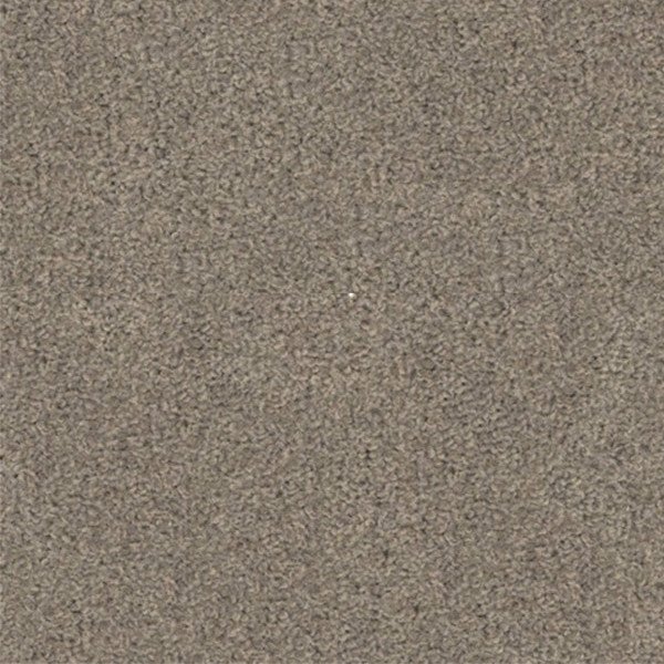Birchwood swatch
