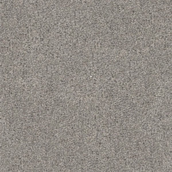 Grey Willow swatch