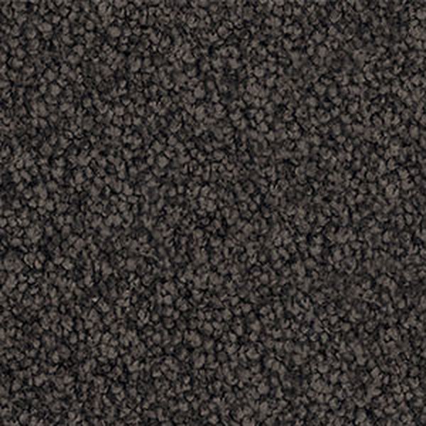 Midnight swatch