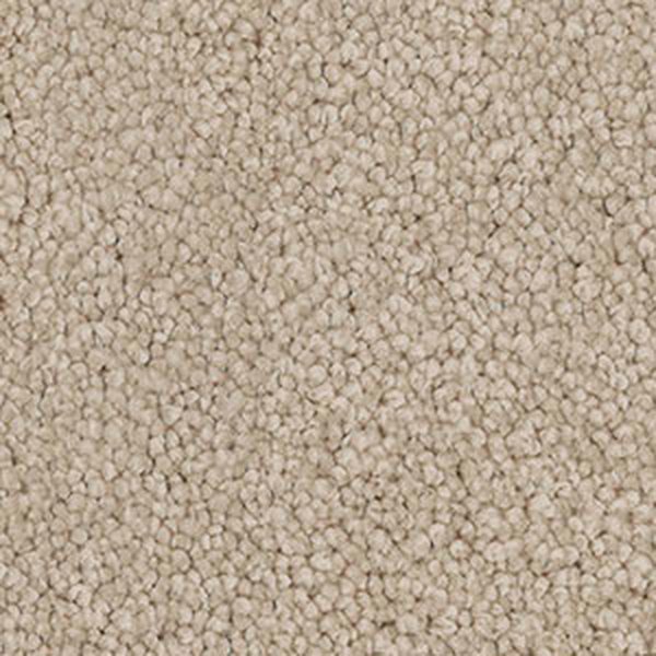 Shell swatch