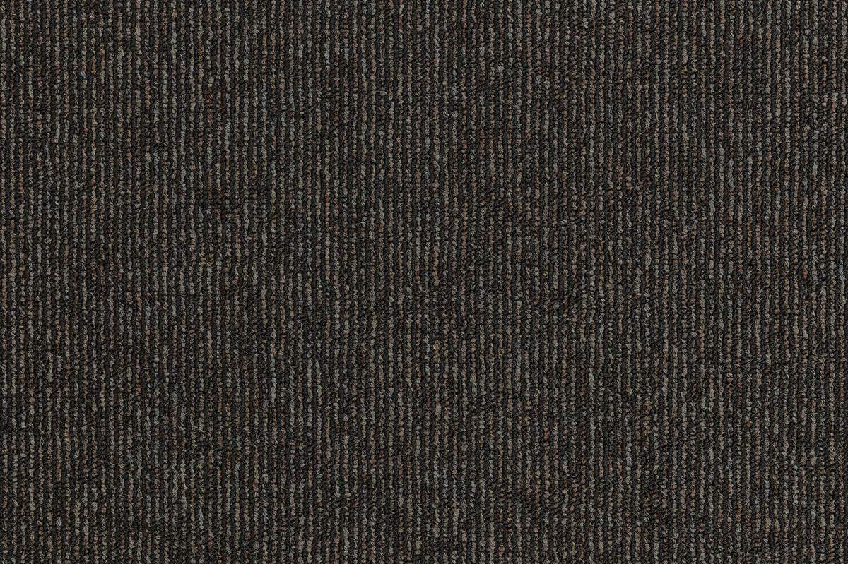 Meteorite swatch