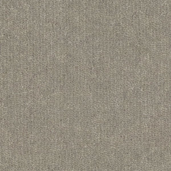 Samosa swatch