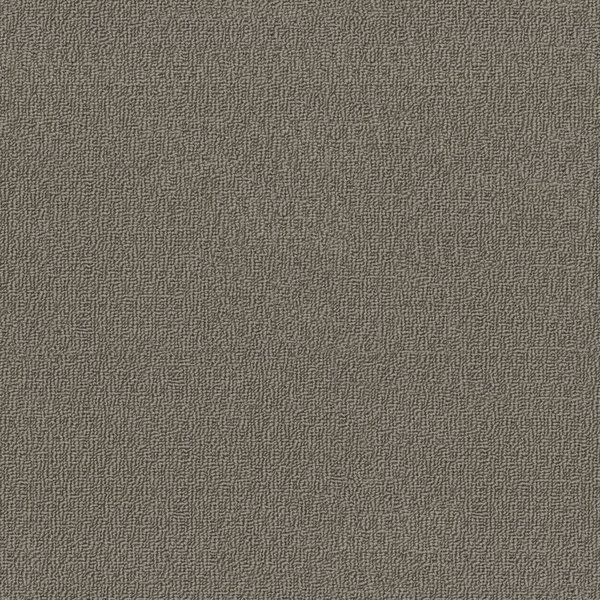 Siltstone swatch
