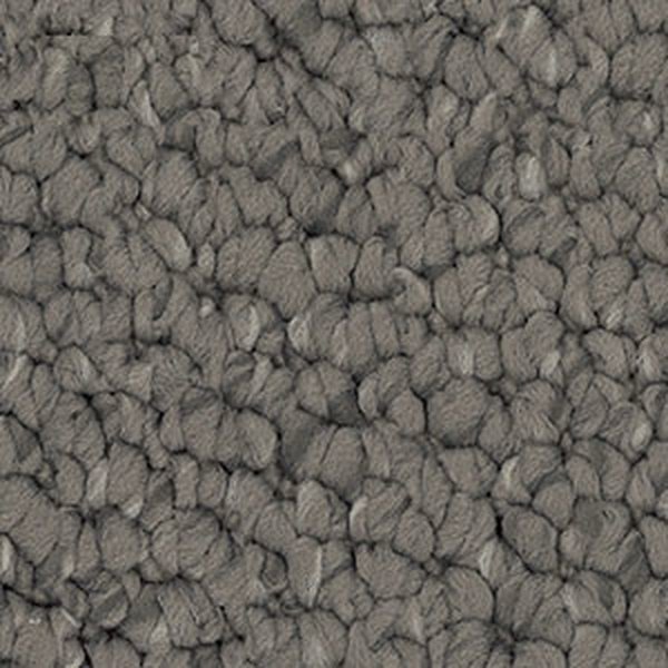 Bison swatch