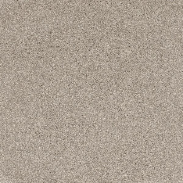 Comfort Touch carpet swatch