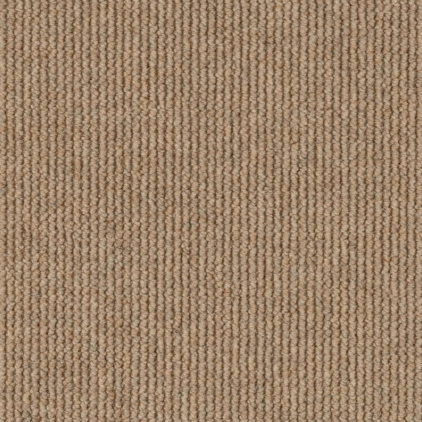 Sunlit swatch