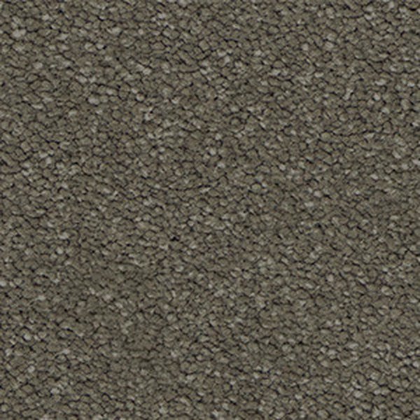 Buffalo swatch