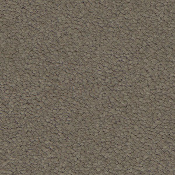 Nutmeg swatch