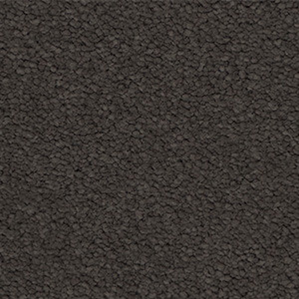 Shale swatch