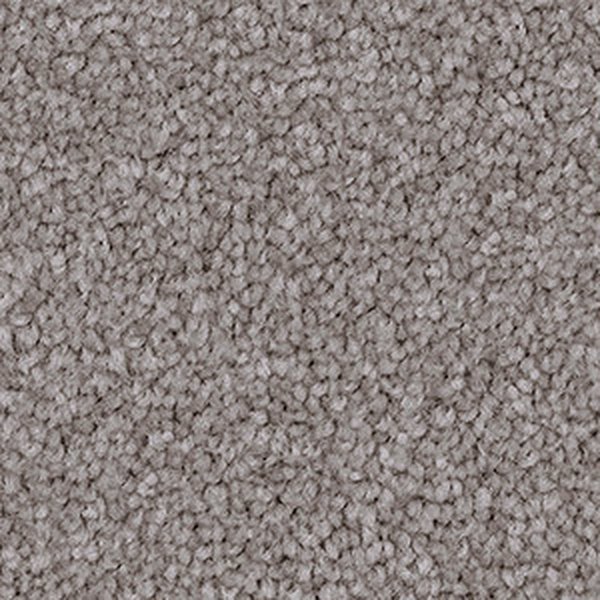 Temple Grey swatch