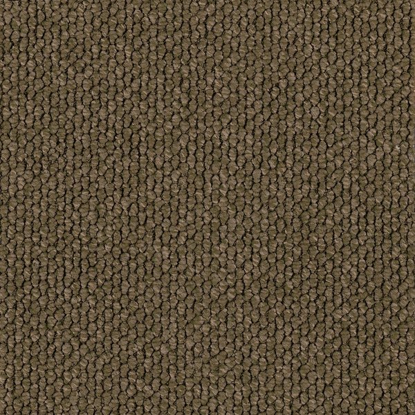 Tanderra swatch