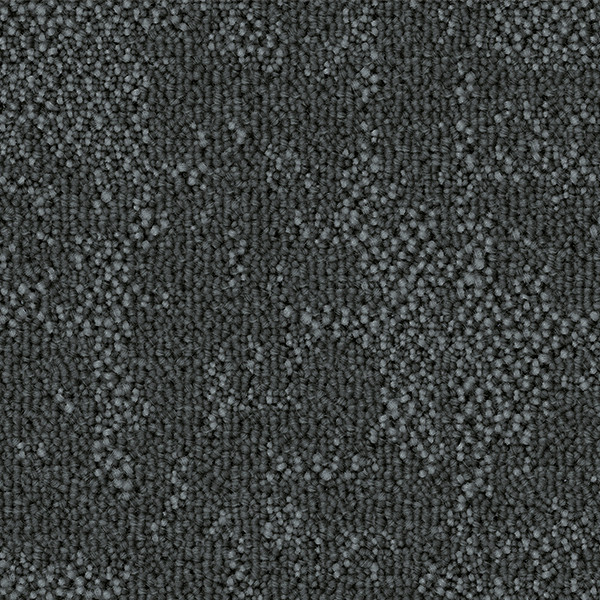 Quizzical swatch