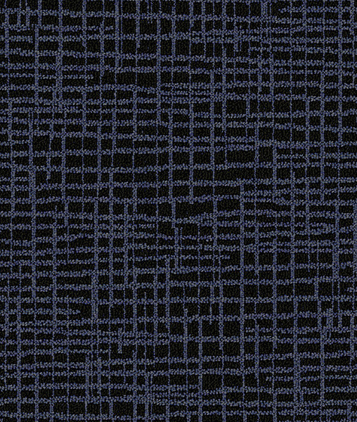 Transient 4M. Horizon