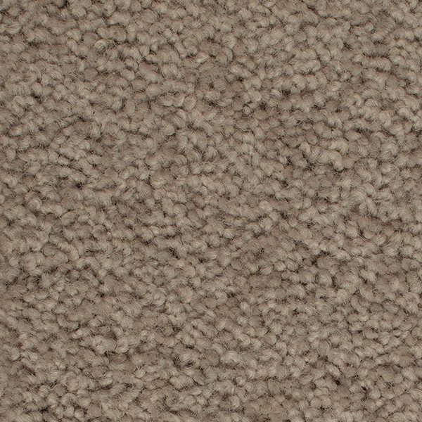 Greywacke swatch