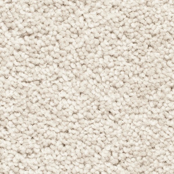 Savannah swatch
