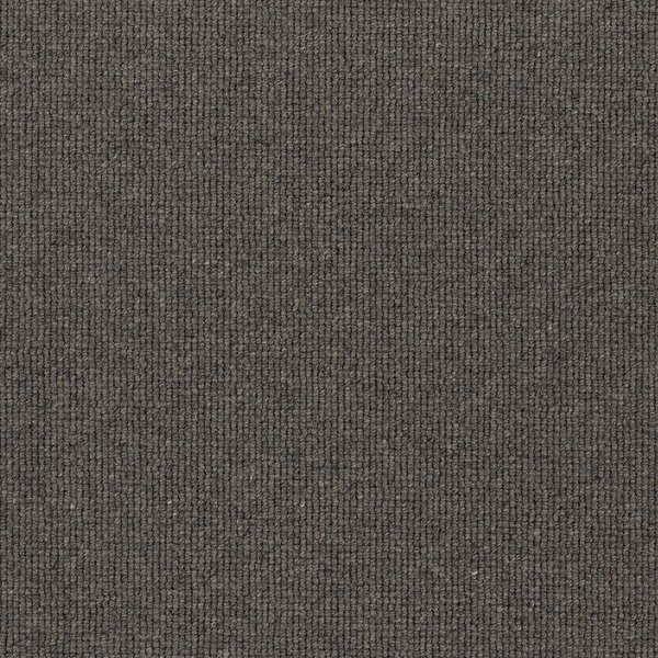 Hause carpet swatch