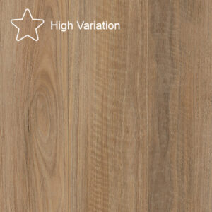 Coastal Spotted Gum swatch