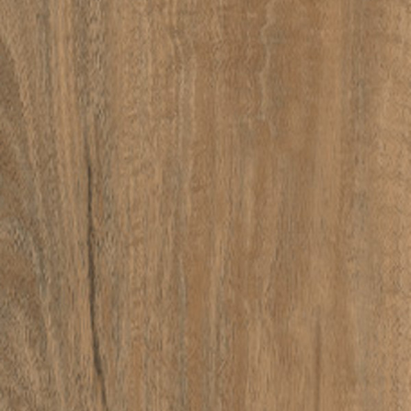 Bright Spotted Gum swatch