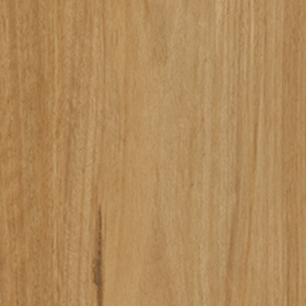 Hazel Blackbutt swatch