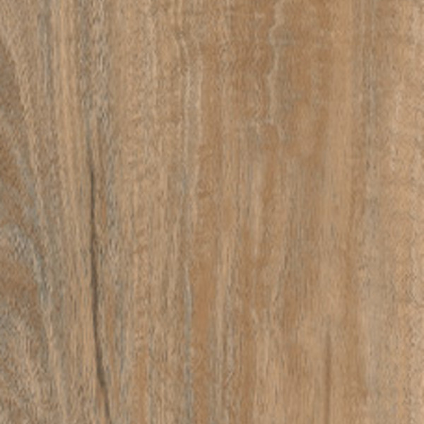 Silk Spotted Gum swatch