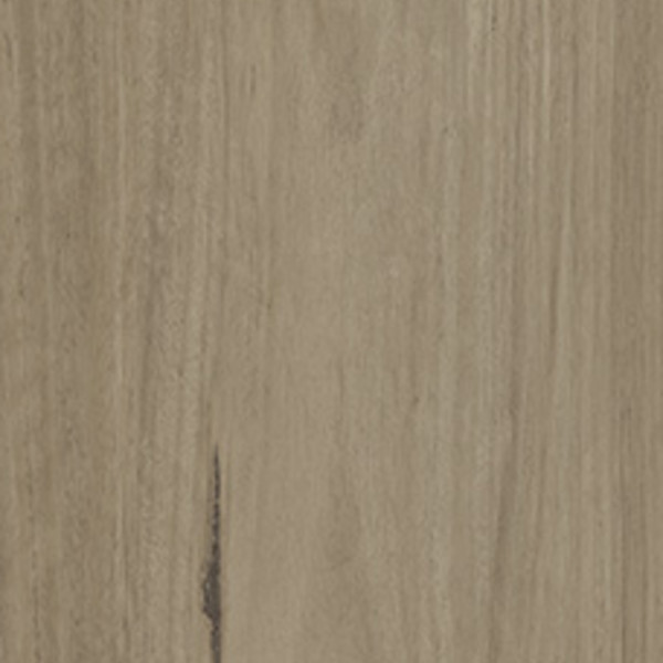 Stony Blackbutt swatch