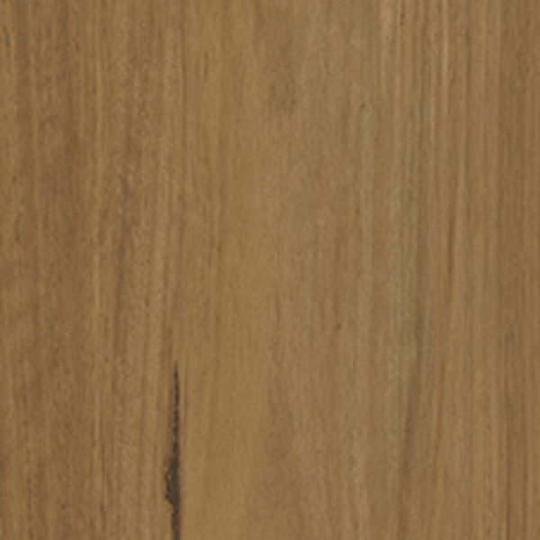 Tawny Blackbutt swatch