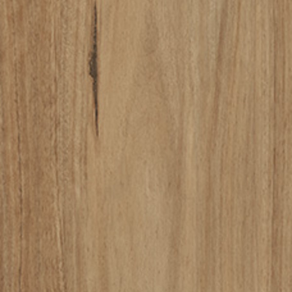 Polaris 1500 carpet swatch