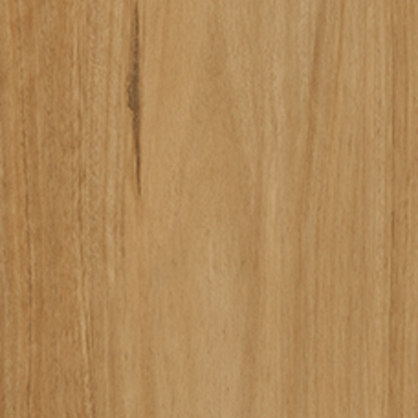 Hazel Blackbutt swatch