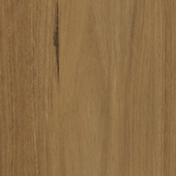 Tawny Blackbutt swatch