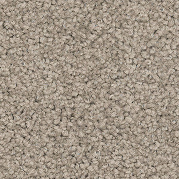 Suede swatch