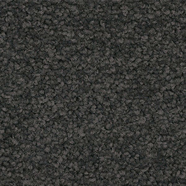 Warm Grey swatch