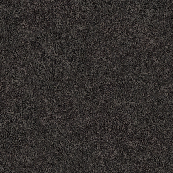 Olive Grove swatch