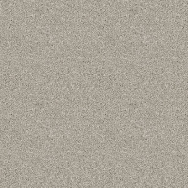 Skyway carpet swatch