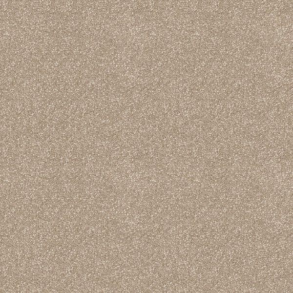 Dreamy swatch