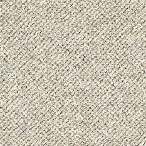 Spinifex. Bone White