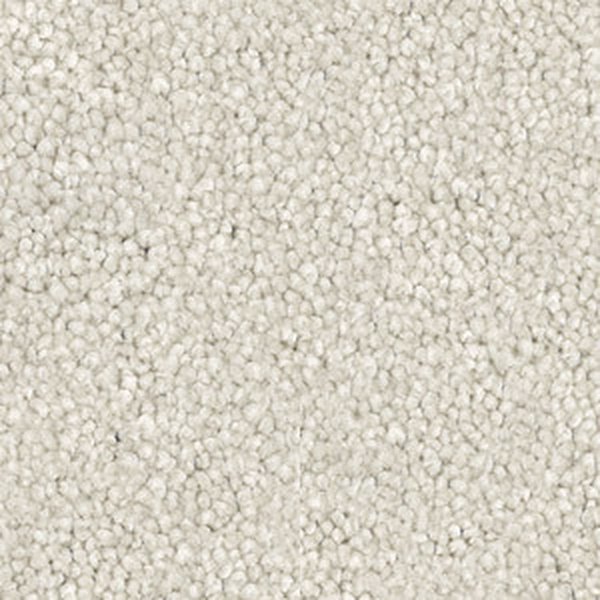 Velura carpet swatch