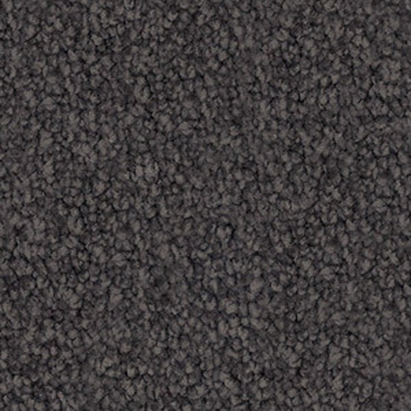 Mocha Delight swatch